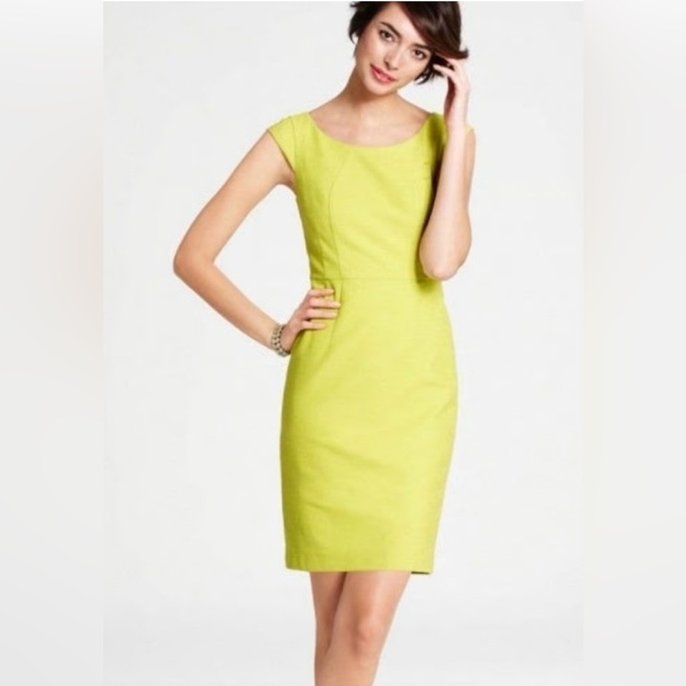 Ann Taylor Dress